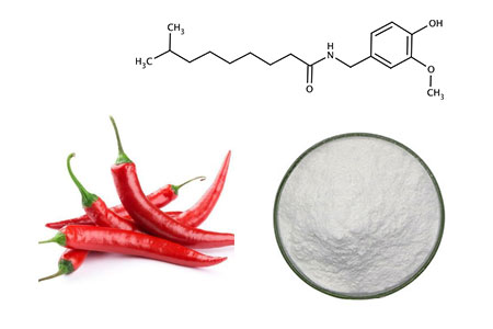 Capsaicin analog.